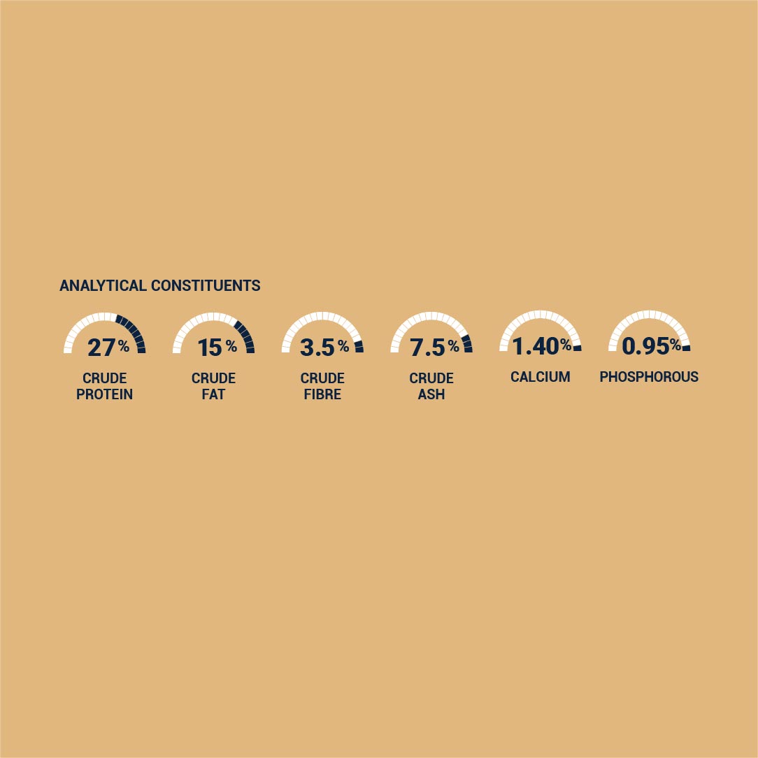 Analytical Constituents-Adult Common