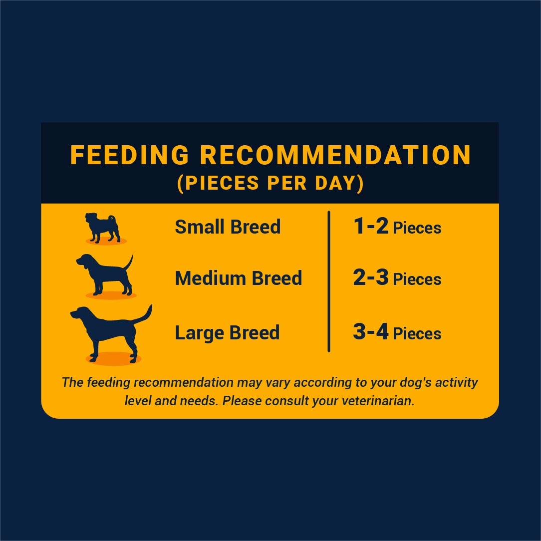 Mango Jerky Feeding Recommendations_70g-01