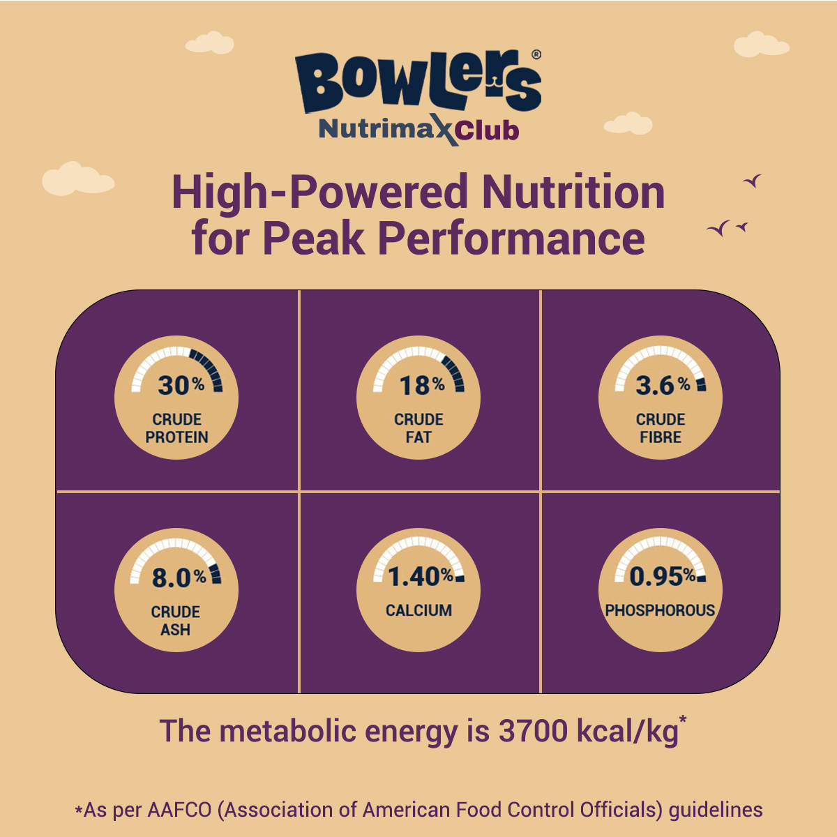 Nutrimax Club Puppy-1.2kg Performance