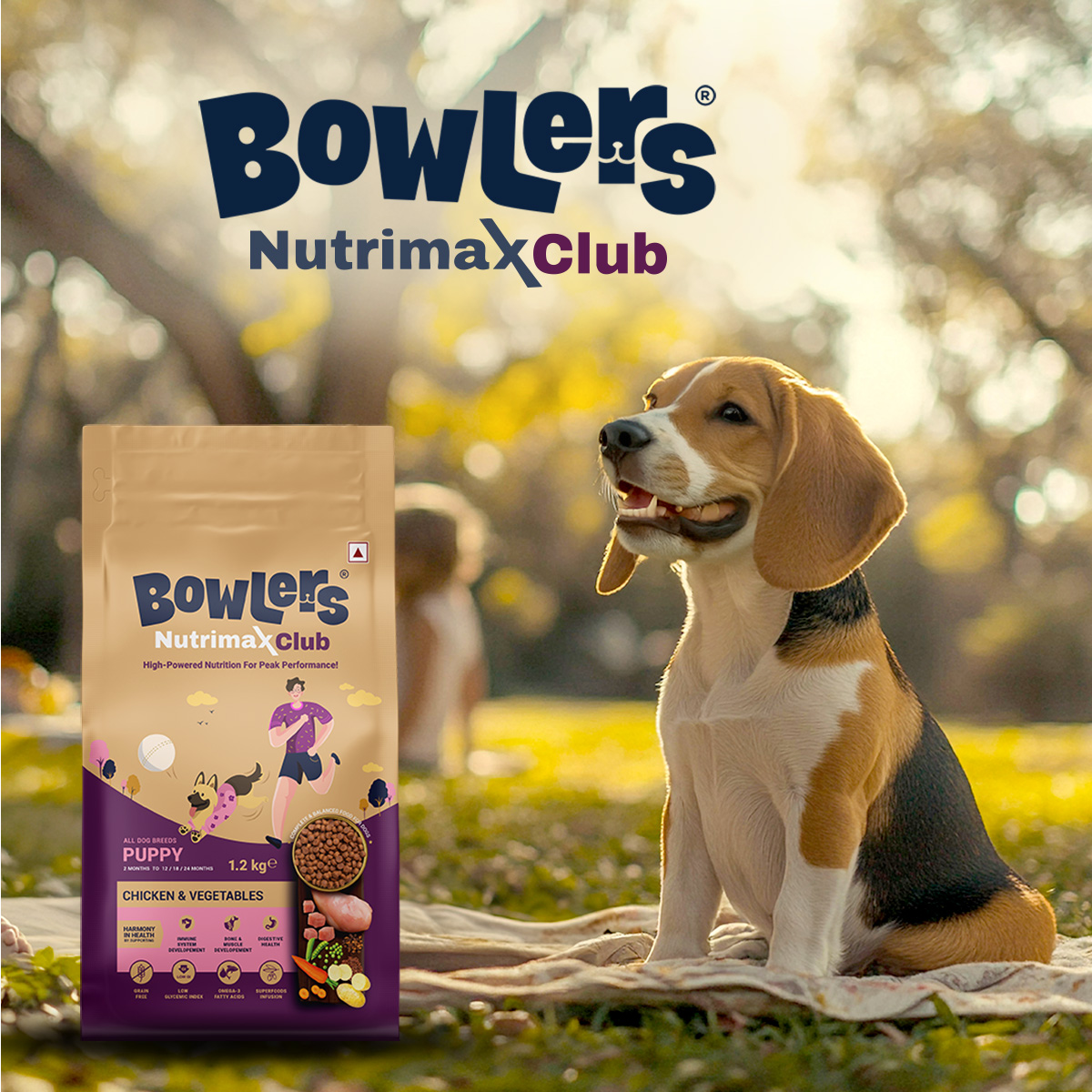 Nutrimax Club Puppy-1.2kg