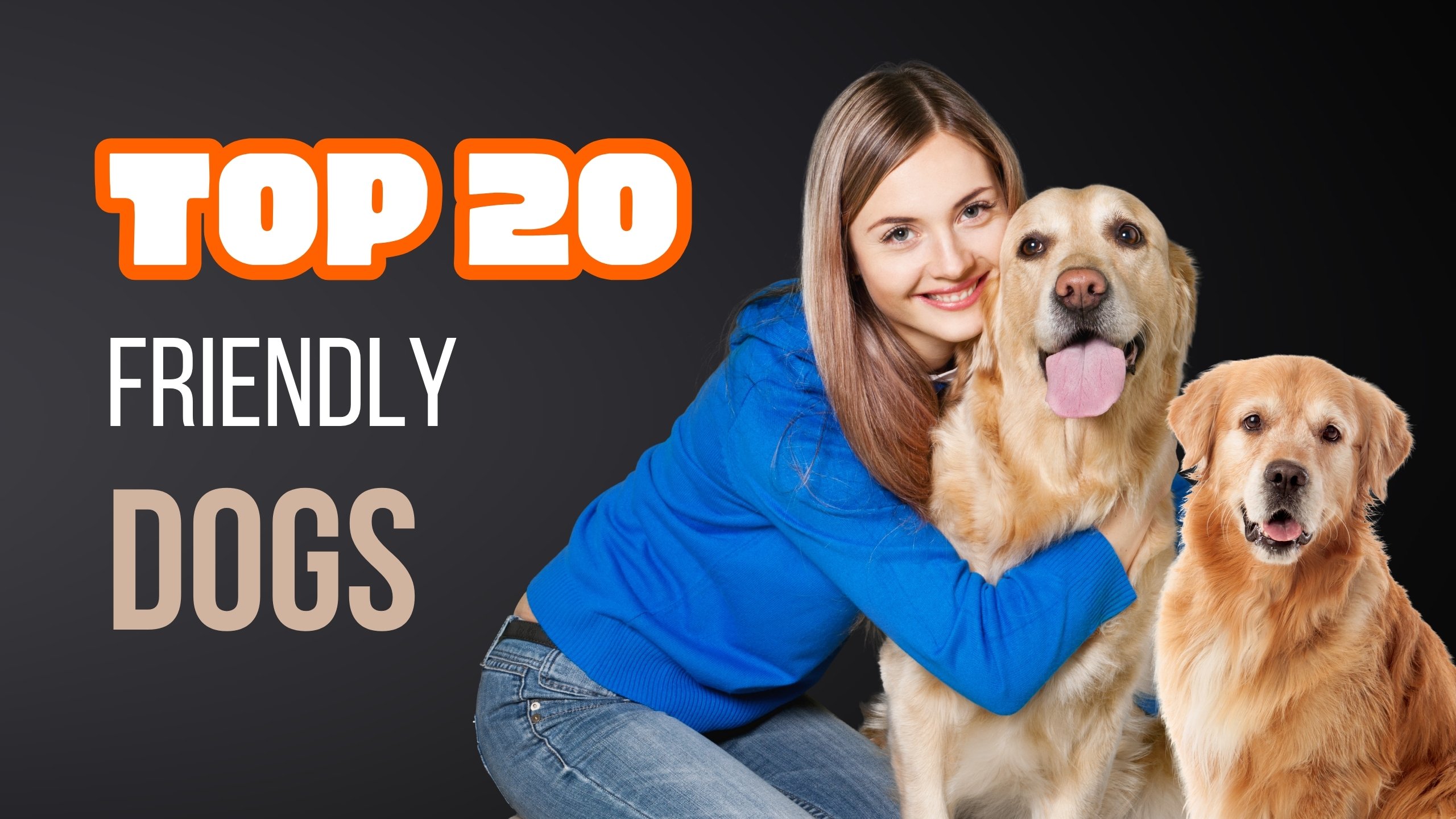 20 Best Dog Breeds for Every Home: A Quick Guide to Choosing Your Ideal Companion