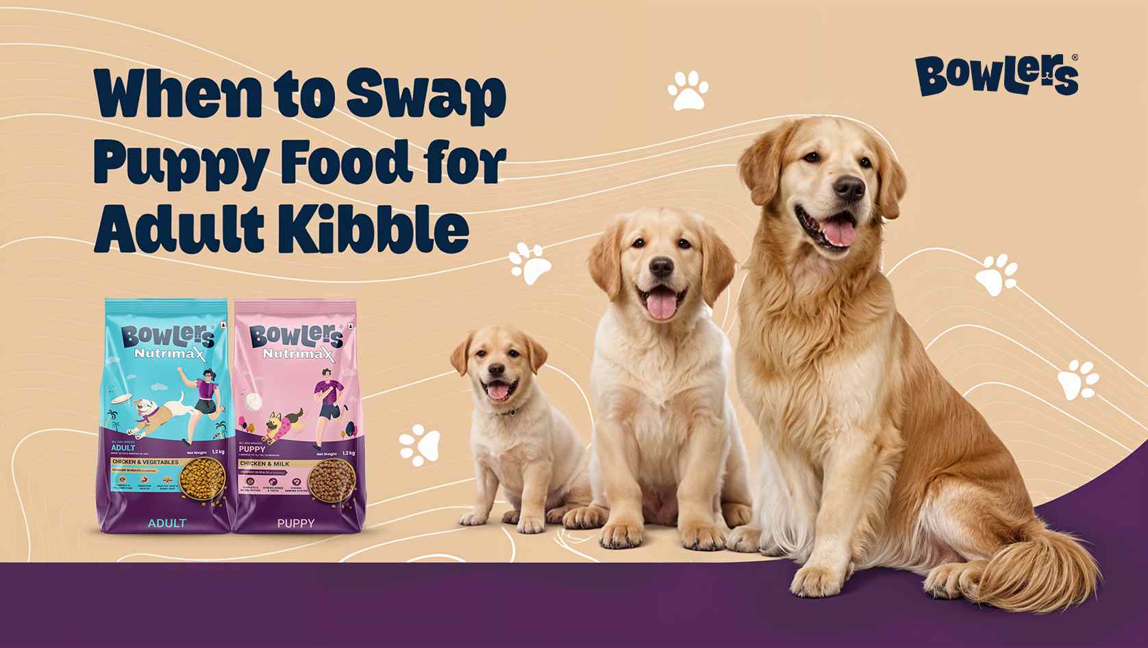Small, Medium, Large Dogs: When to Swap Puppy Food for Adult Kibble