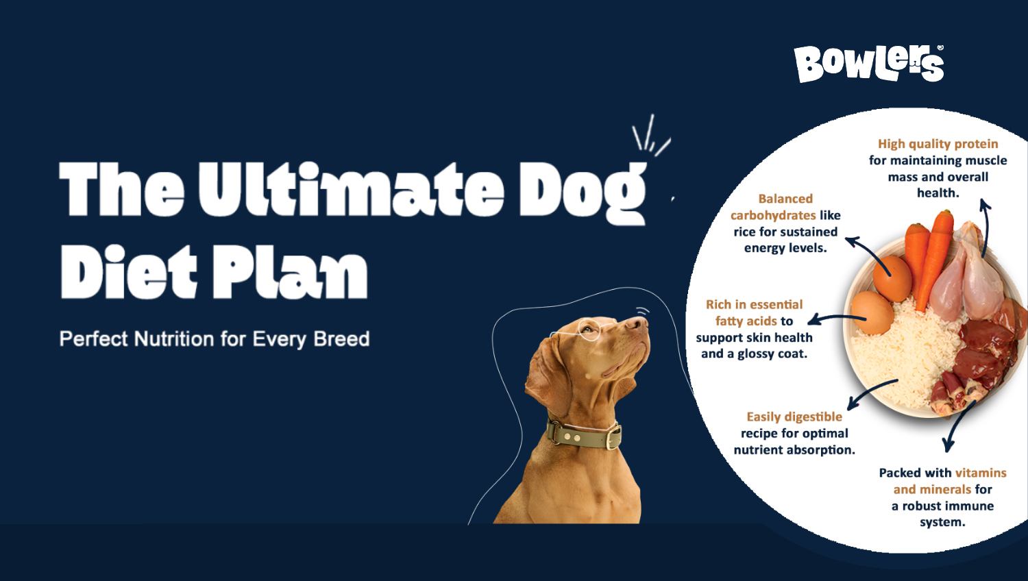 The Ultimate Dog Diet Plan: Balanced Meals for All Breeds