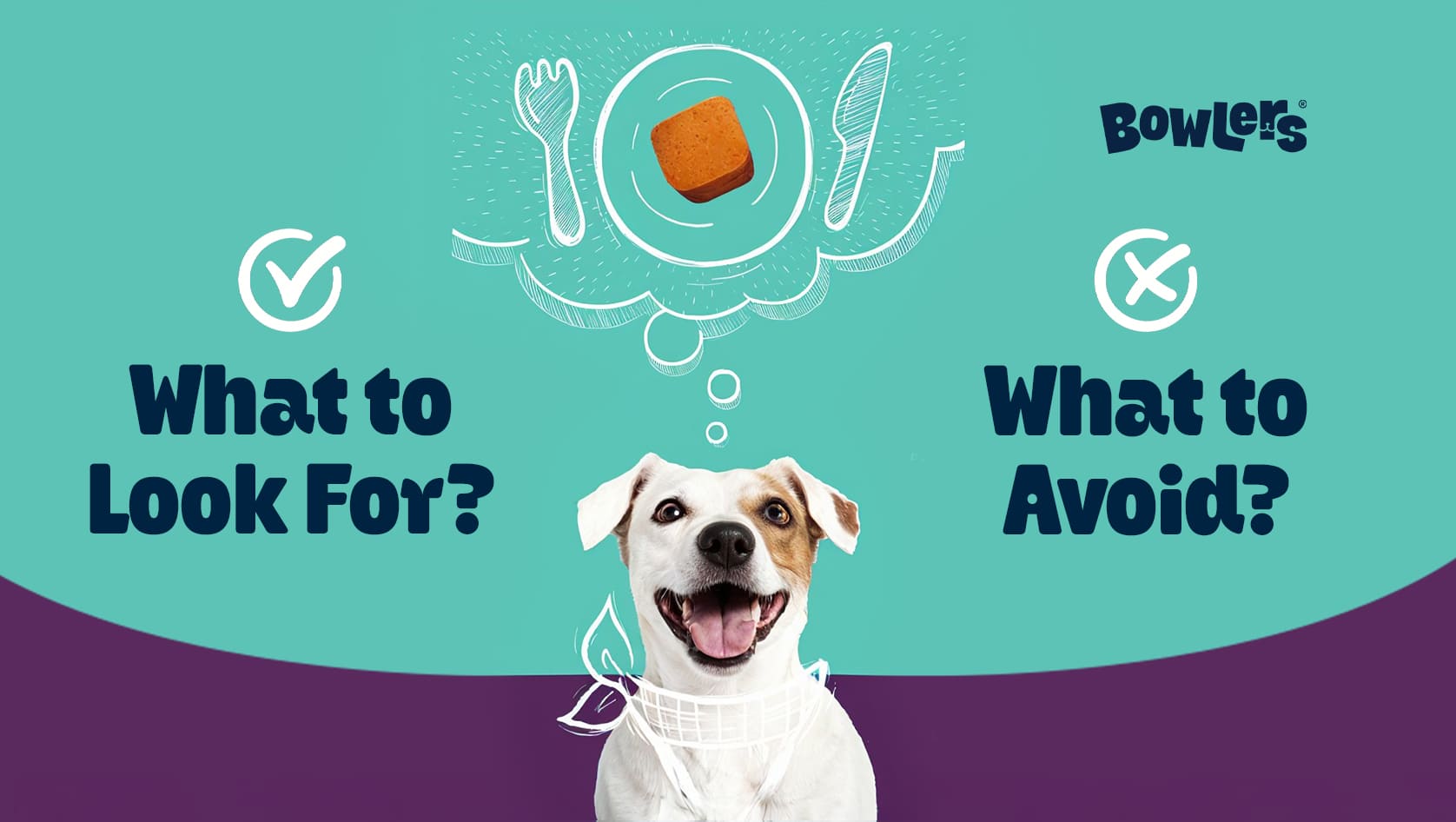 Dog Nutrition Facts Explained: What Every Pet Parent Should Know