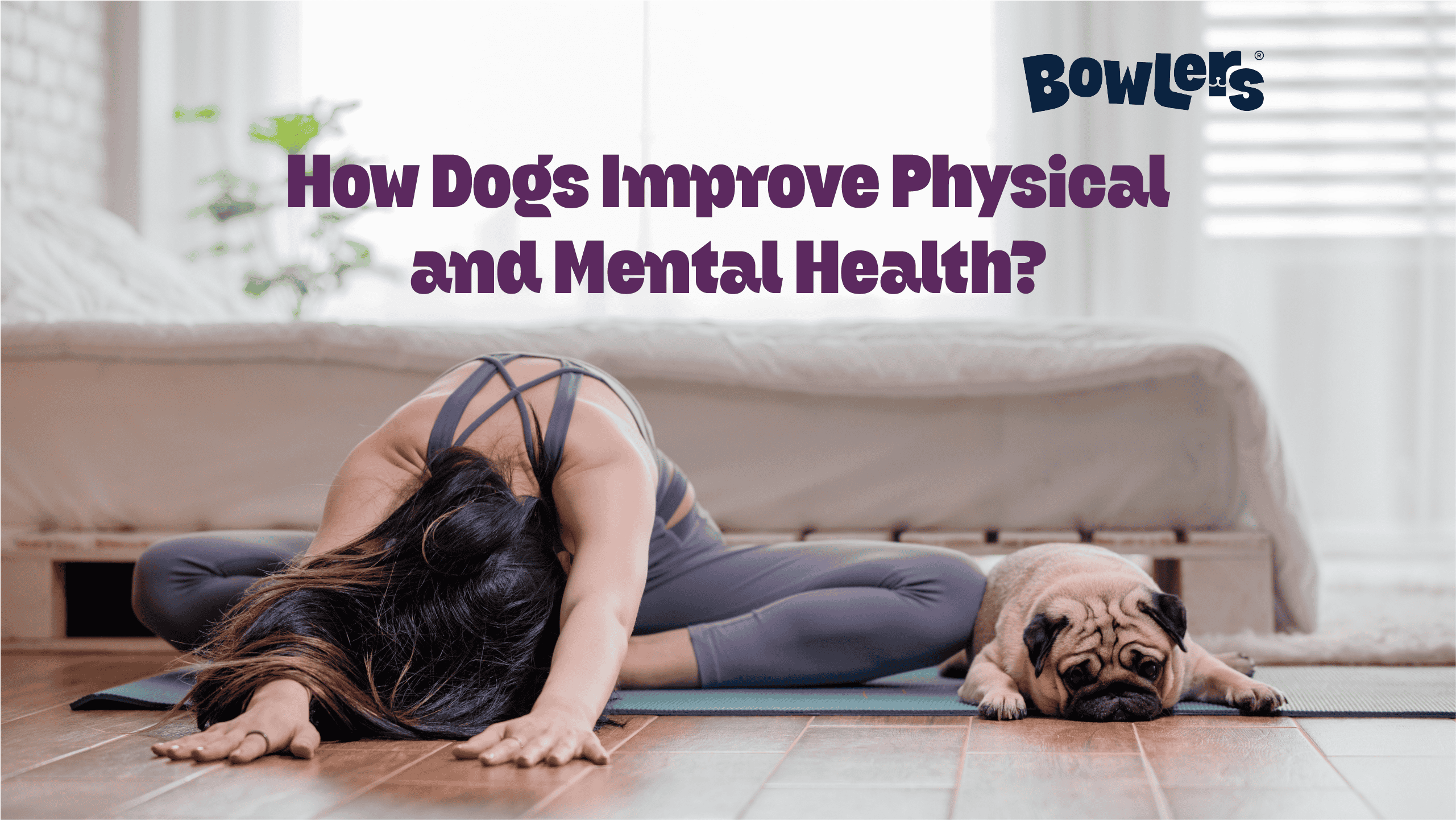How Dogs Improve Physical & Mental Health