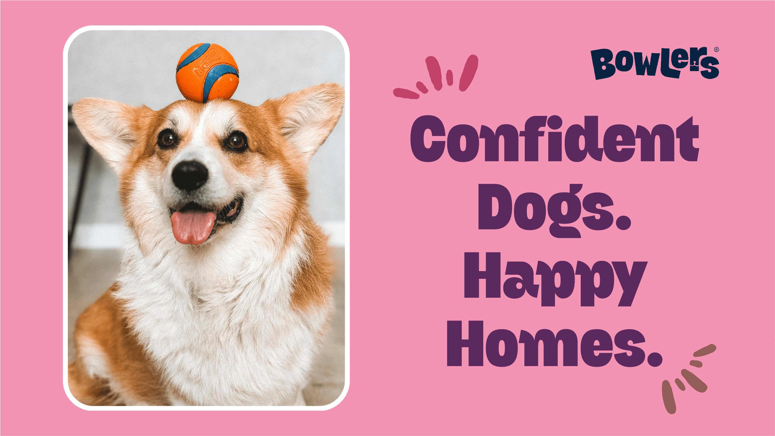 Basic Dog Training for Obedience and Manners