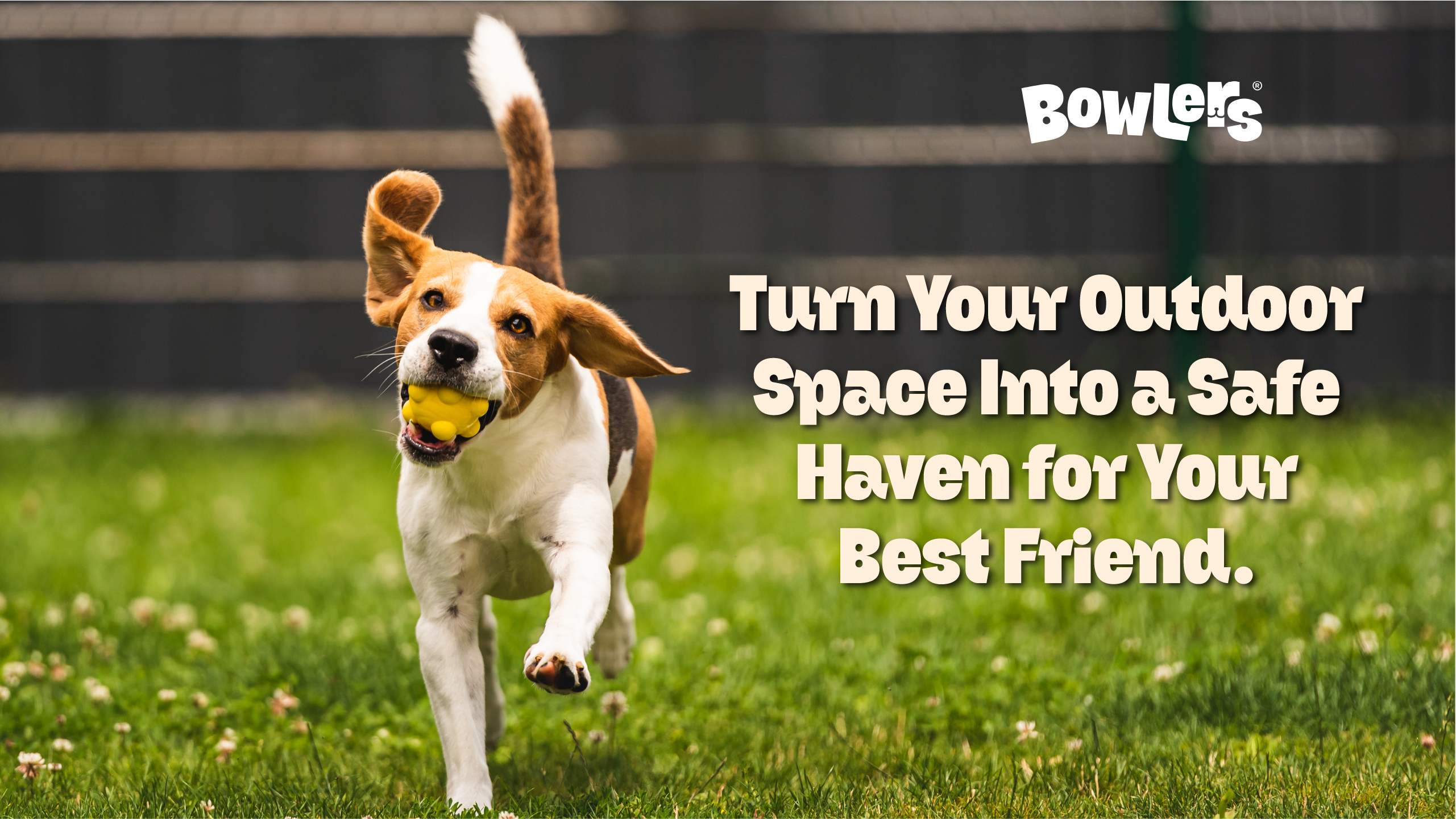 Turn Your Outdoor Space Into a Safe Haven for Your Best Friend