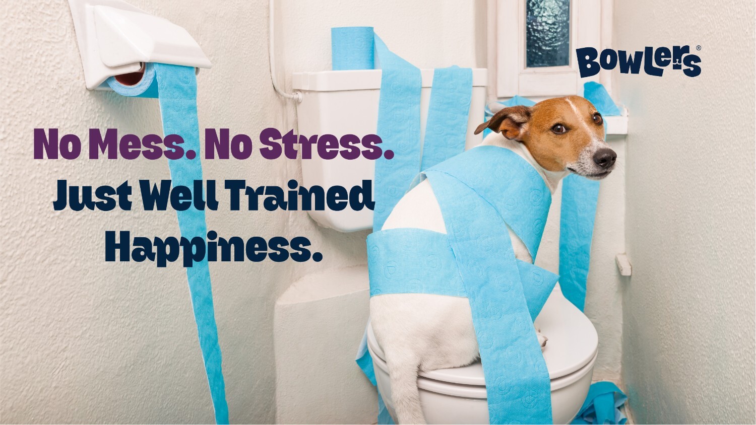 Best Methods for Potty Training Puppies Indoors and Outdoors