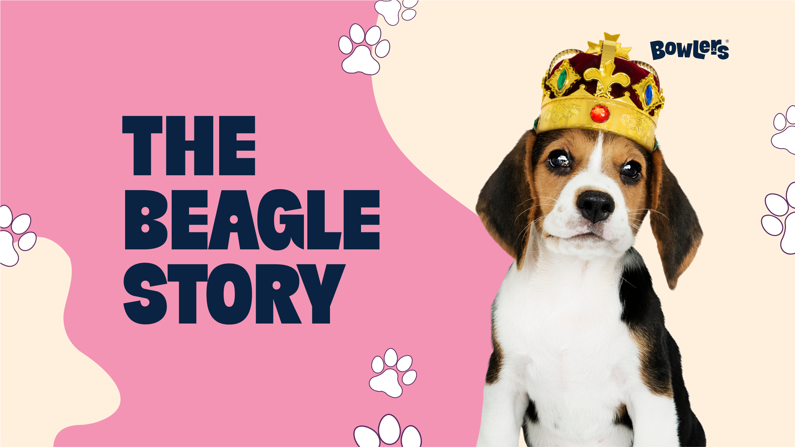 Beagles: Hunting Heritage, Personality, and Modern Family Role