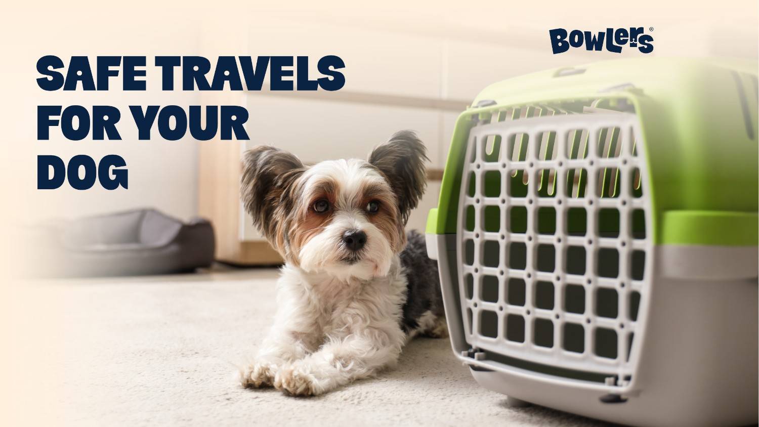 Dog Travel Carriers and Crates: How to Keep Your Pet Safe on Every Trip