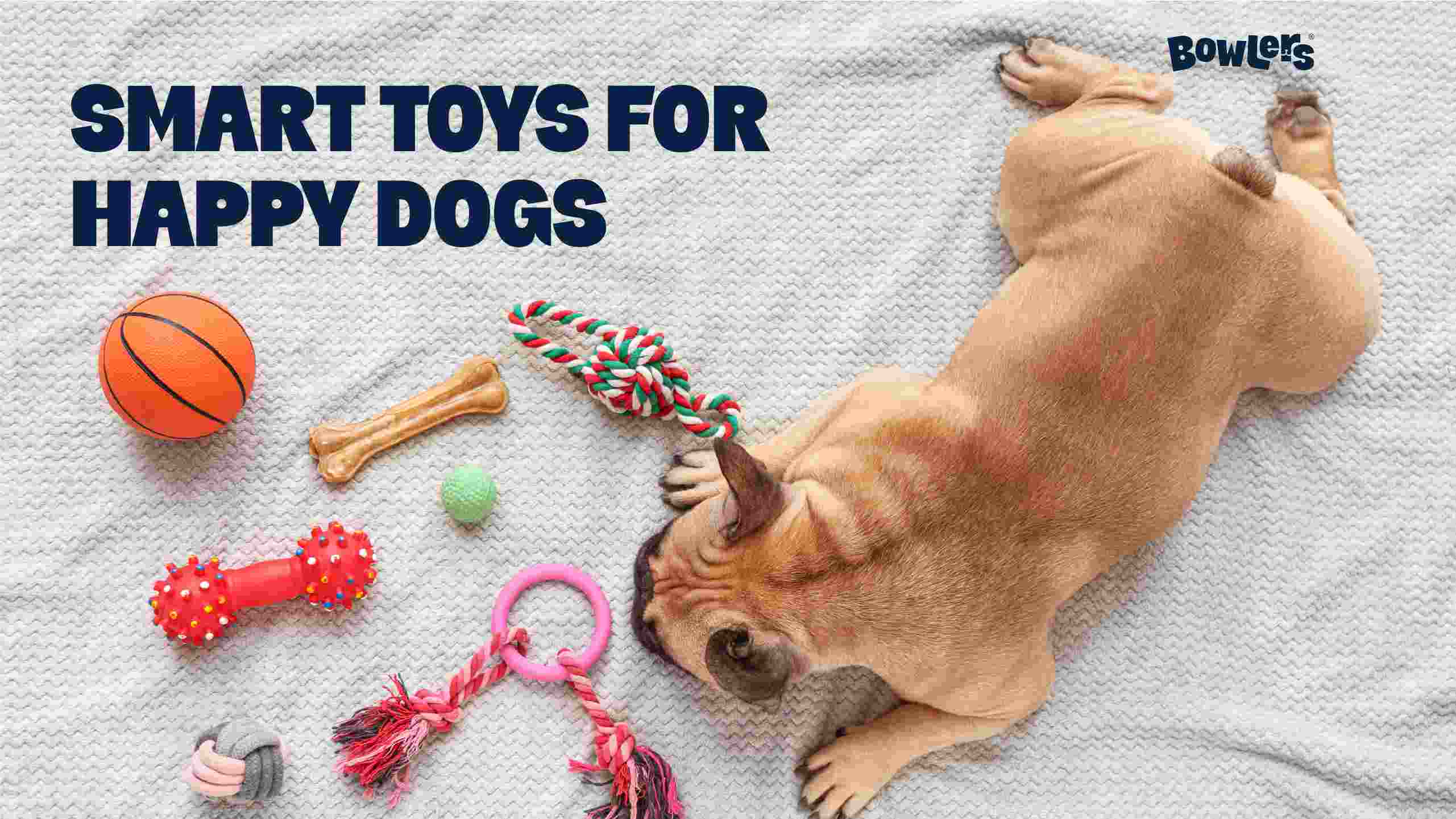 Smart toys for happy dogs