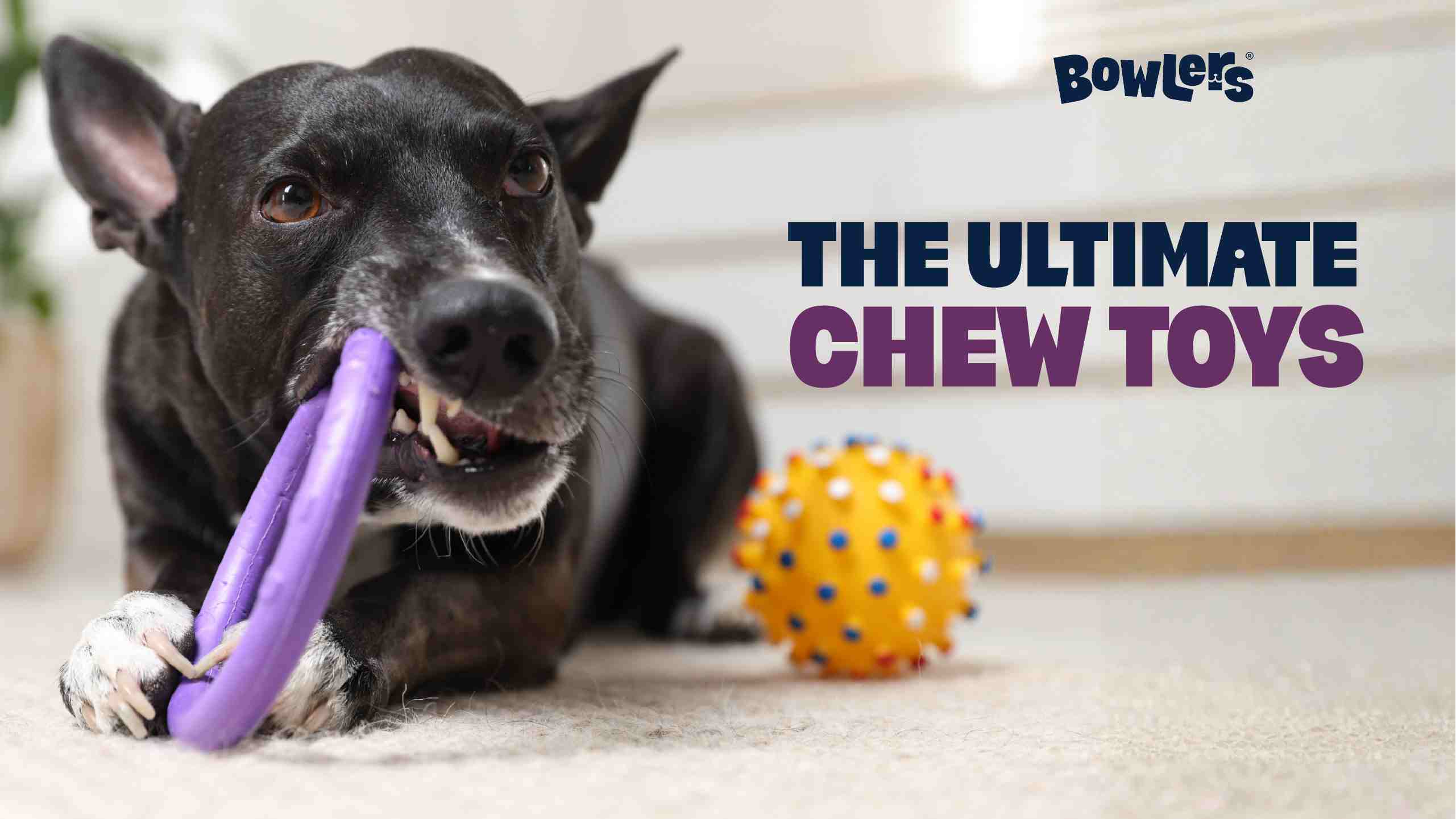 chew toys by bowlers dog food