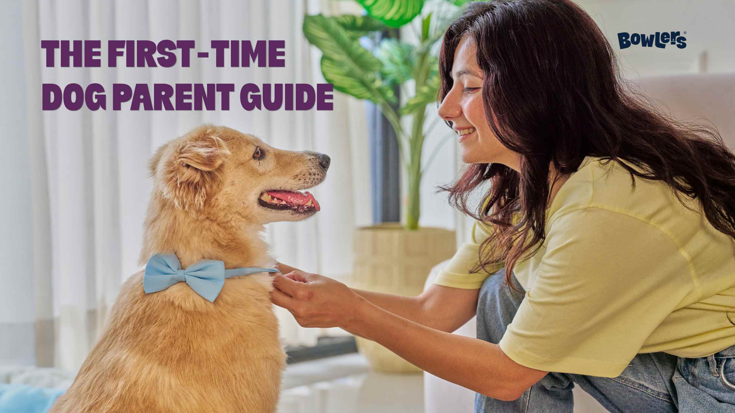 First Time Dog Parent Guide