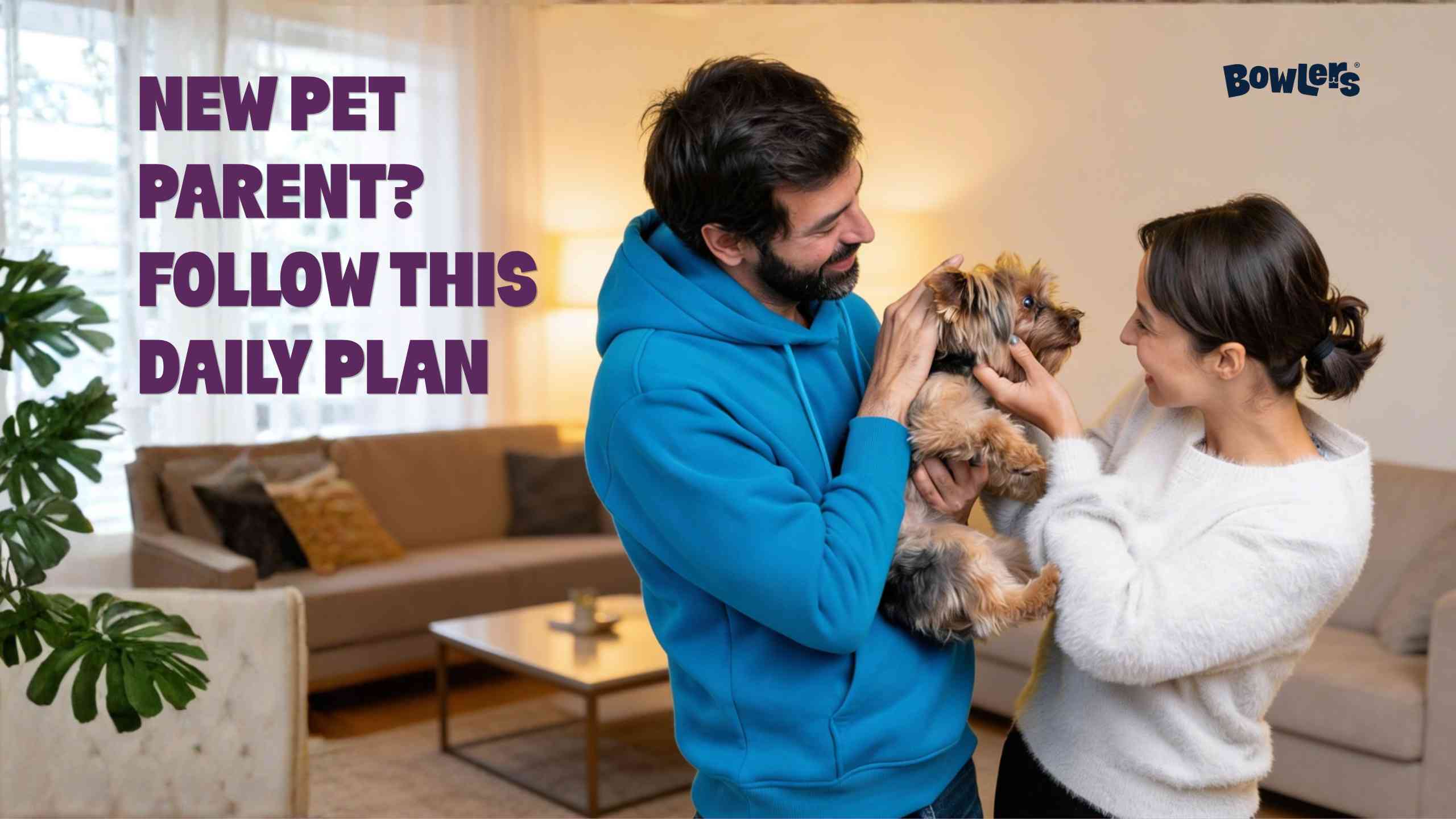 New Pet Parent, Follow This Daily Plan