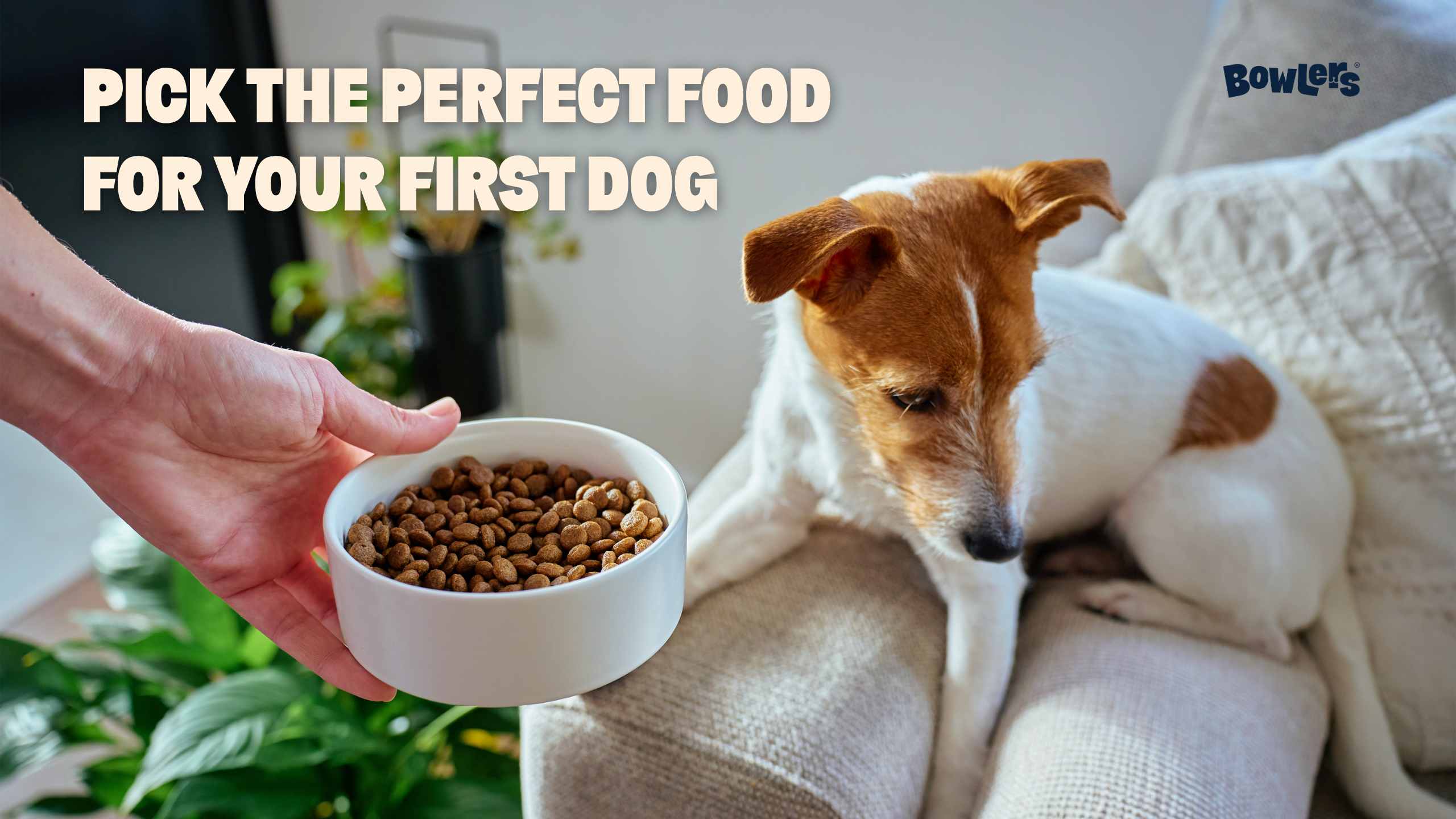 Choose the Right Dog Food for Your First Pet