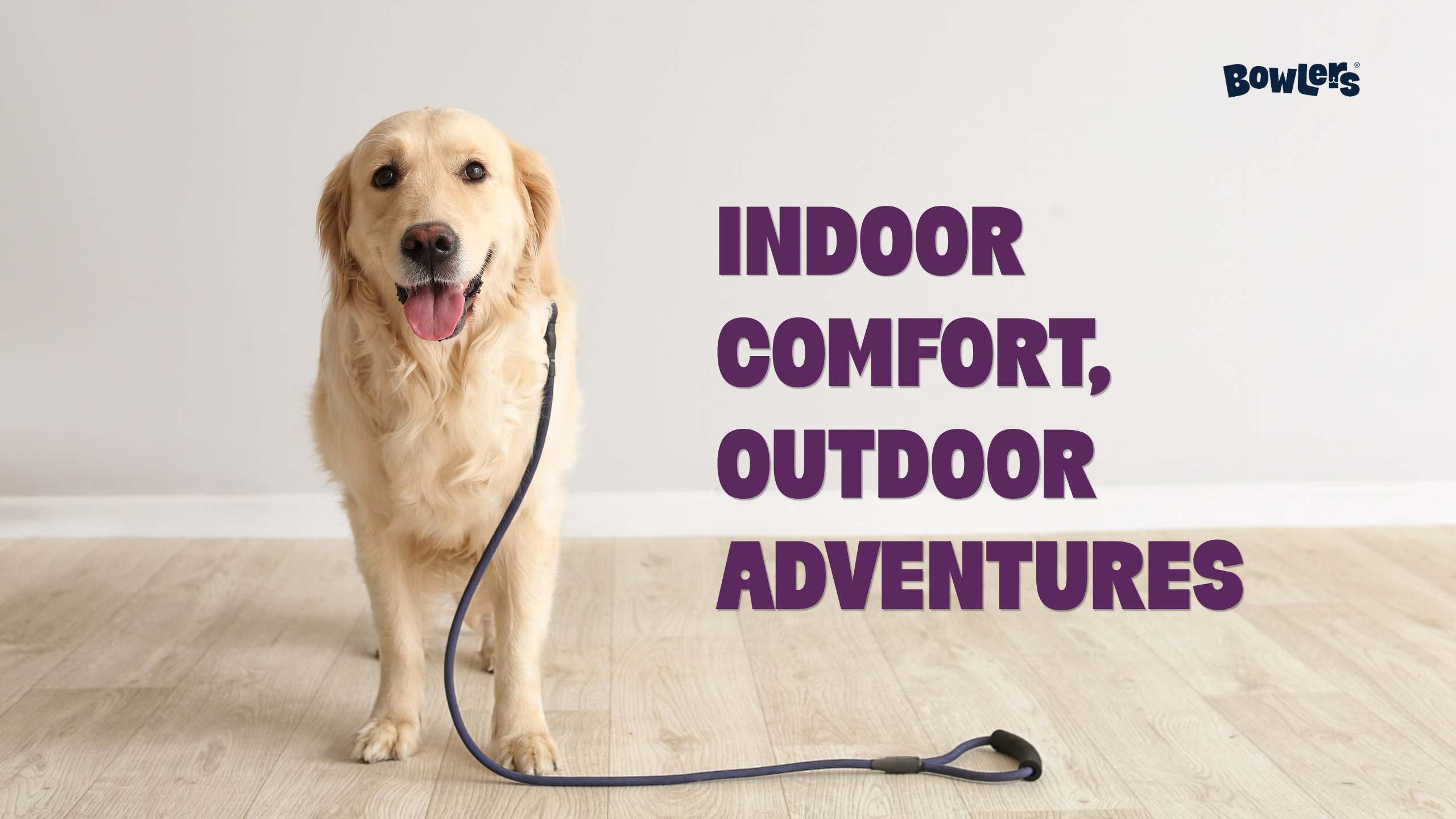 Balancing Indoor and Outdoor Time for Dogs
